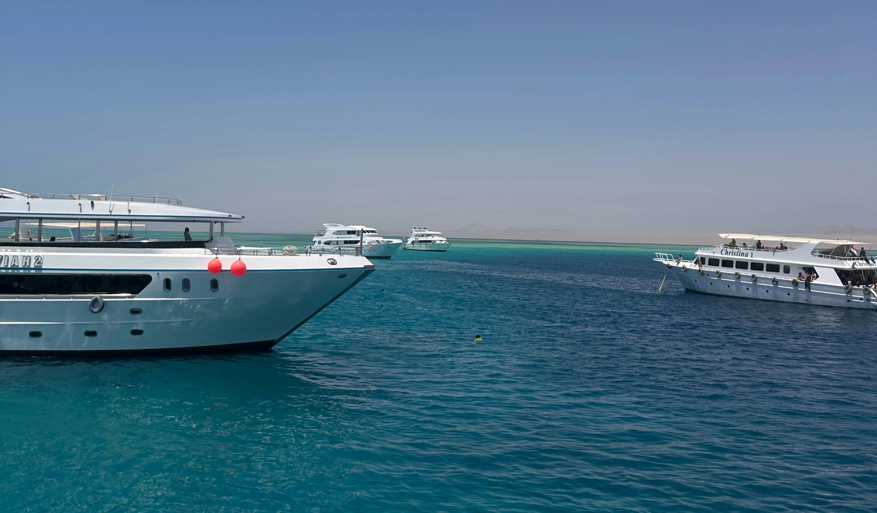 Dhow Cruise