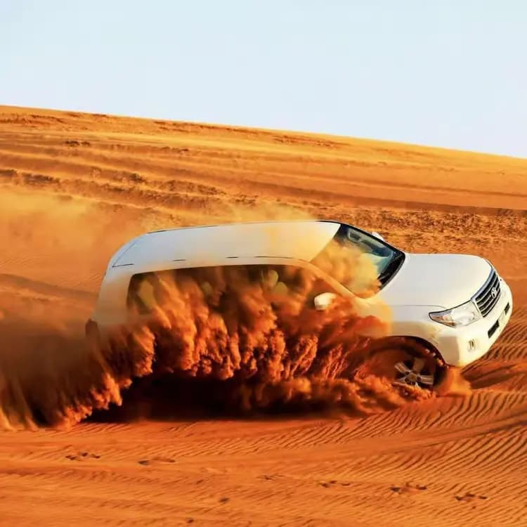 Desert Safaris & Inland Sea