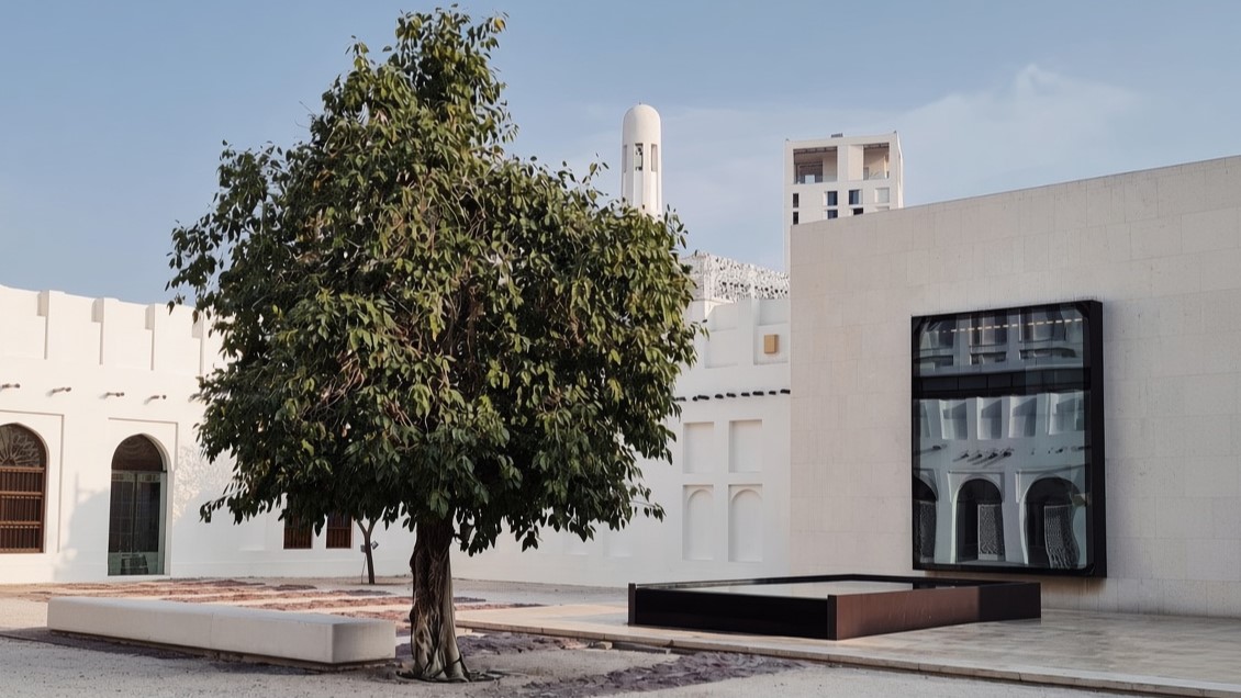 Courtyard tree beside a modern glass building in Msheireb Downtown