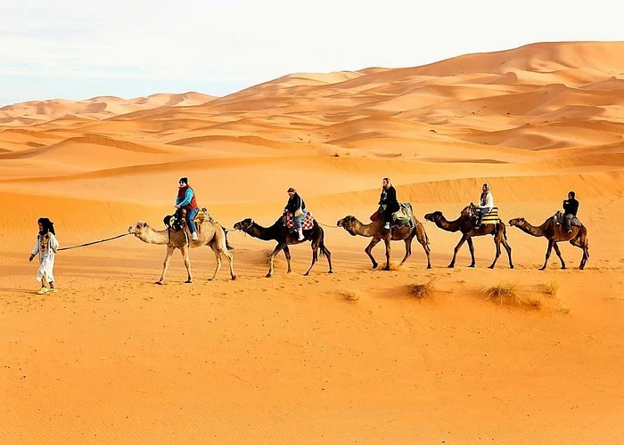 Desert and Adventure